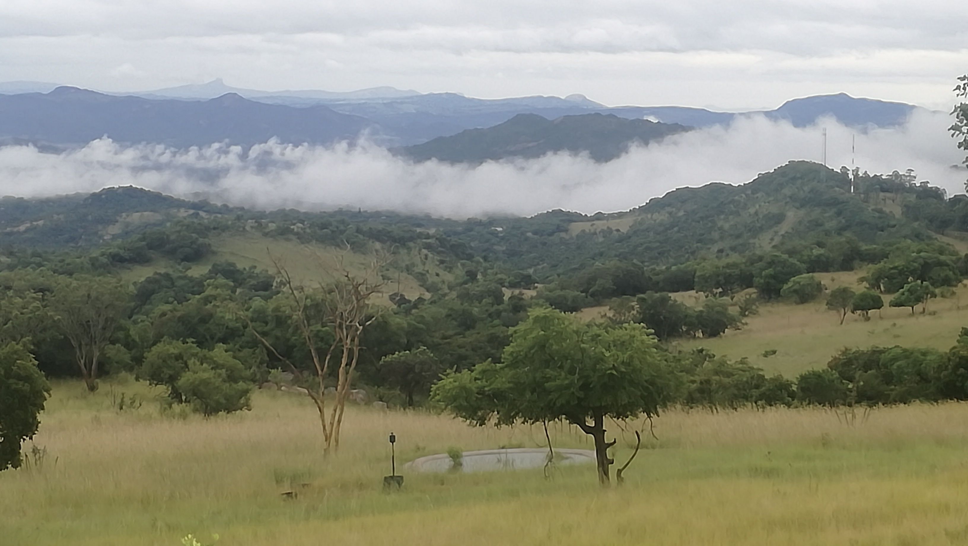 A landscape with rolling hills, trees, and a cloudy sky.