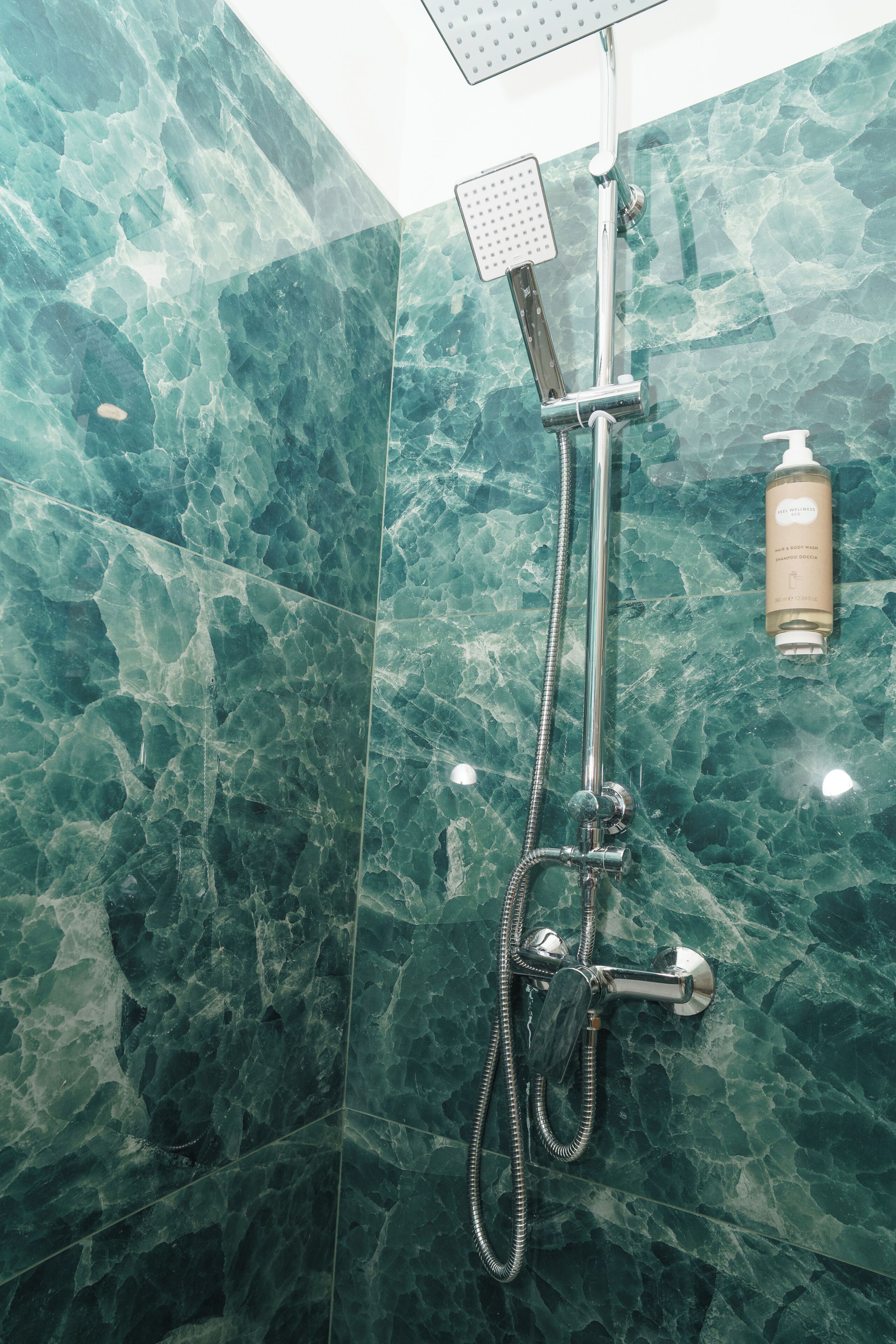 Une salle de bain équipée d’une douche, d’un pommeau de douche amovible et d’un flacon de shampoing.