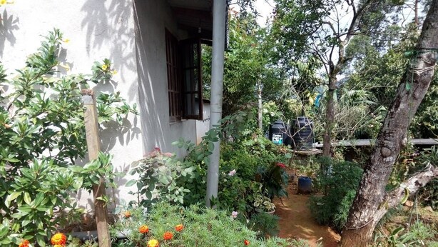 A garden with marigold flowers, a pathway, and a white building with a window. - St Clair Holiday Home (Nuwara Eliya)