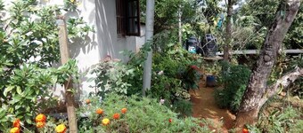 St Clair Holiday Home