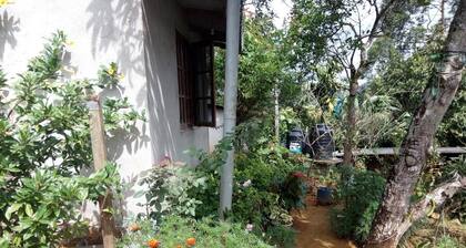St Clair Holiday Home