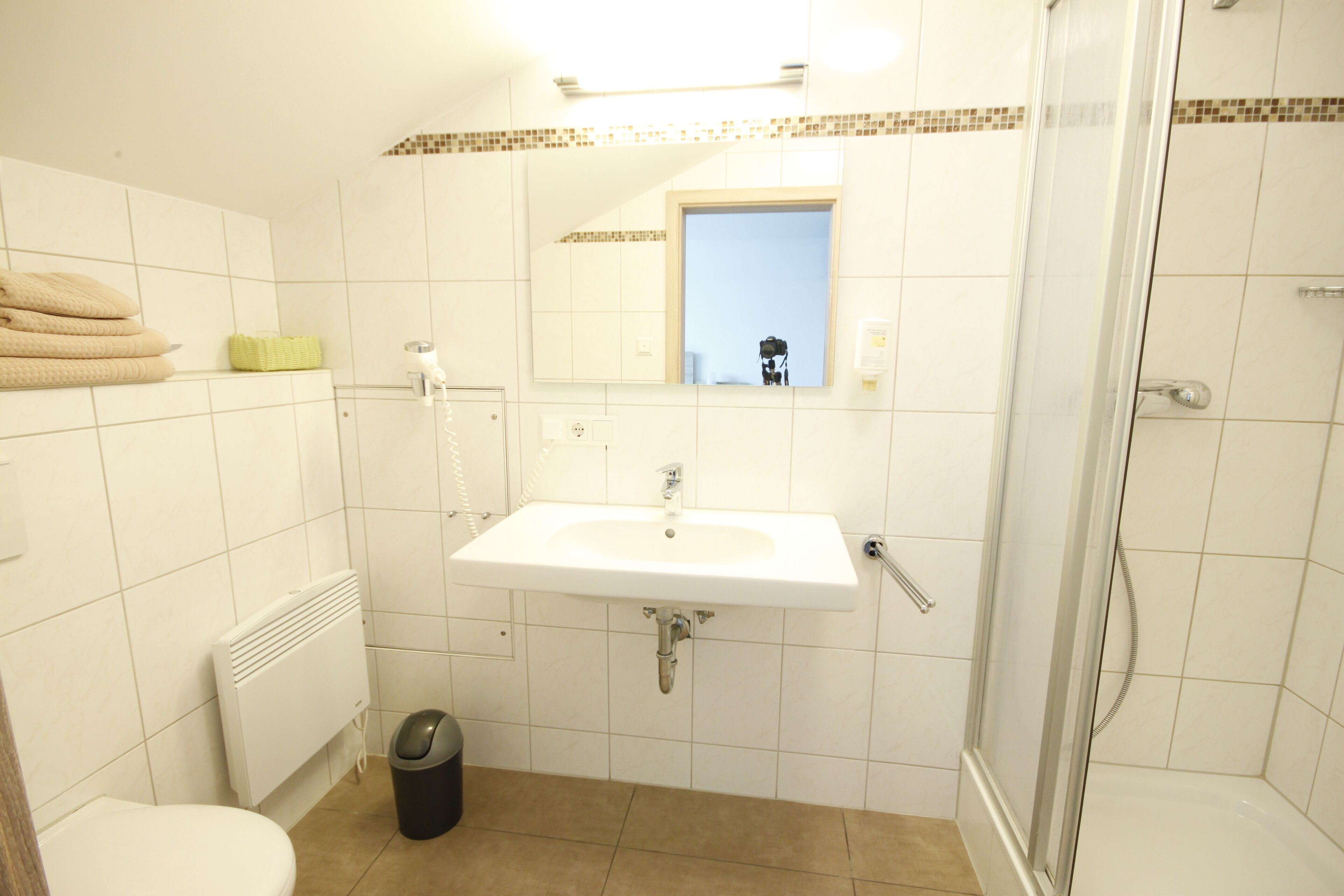A bathroom with a white sink, a toilet, a shower, and a mirror.