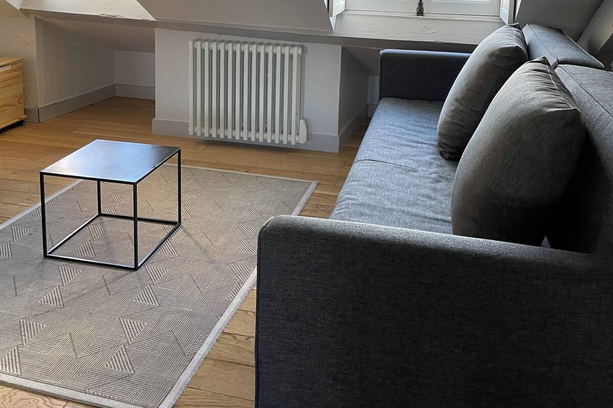 Un appartement moderne de style « loft », avec un plafond haut, un canapé gris, une petite table en métal et un tapis à motifs.