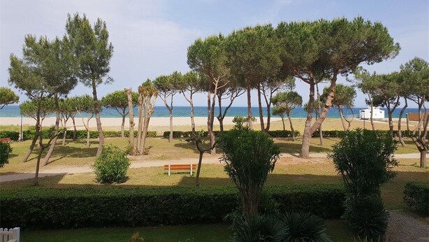 A view of a beach with trees and a bench.