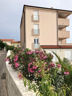 Détail de l’extérieur