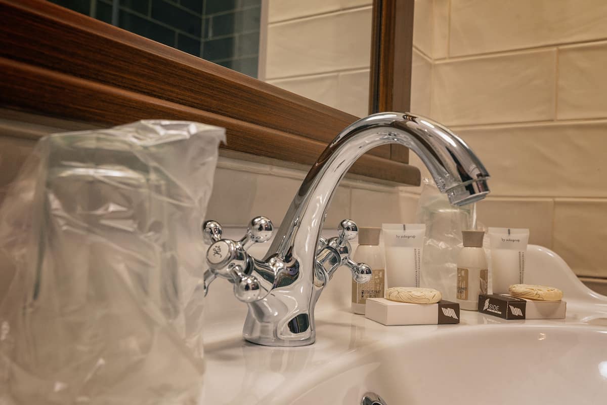 Deluxe Süit, Birden Çok Yatak, Dağ Yamacı | Banyo | Duş, geniş duş başlığı, ücretsiz banyo/kozmetik ürünleri