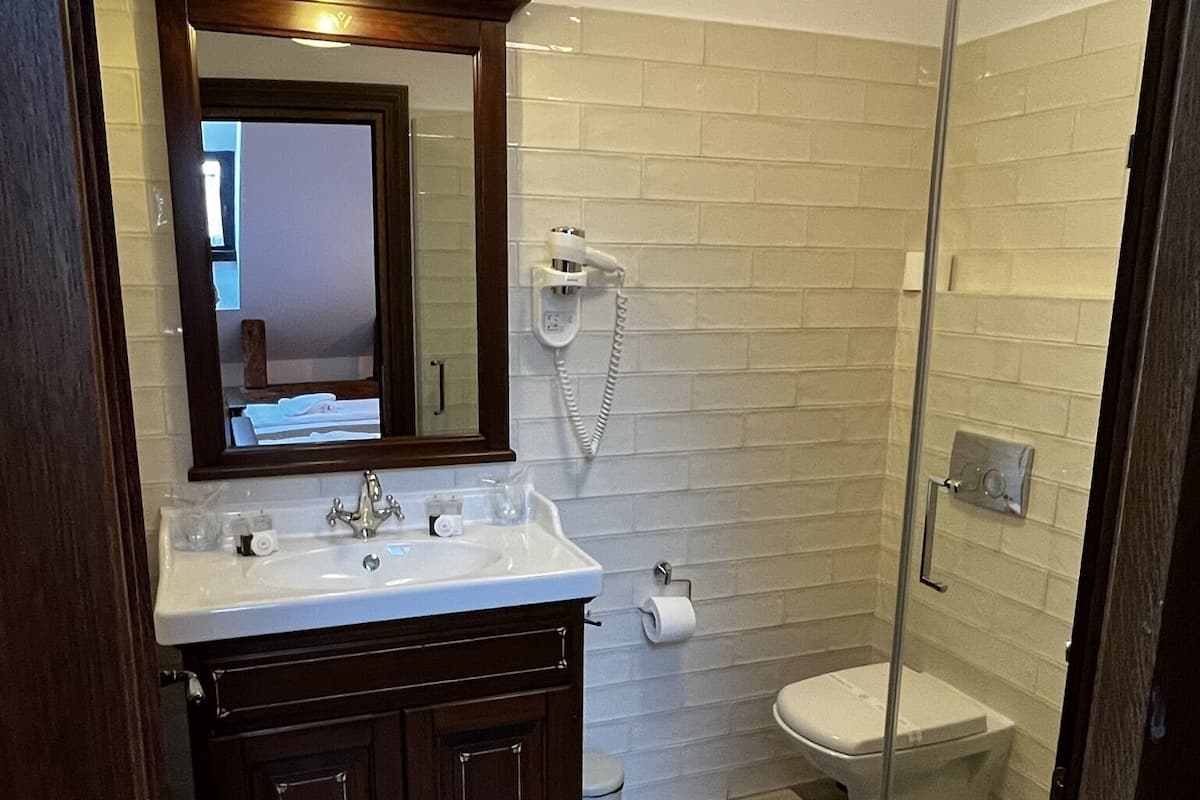 Deluxe İki Ayrı Yataklı Oda, 1 Yatak Odası | Banyo | Duş, geniş duş başlığı, ücretsiz banyo/kozmetik ürünleri