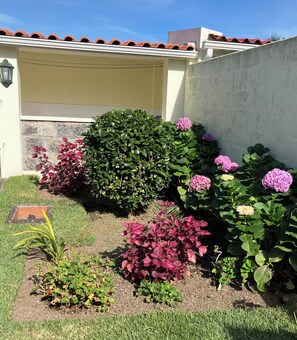 Een aangelegde tuin met verschillende planten en bloemen, een betonnen muur en een gebouw met een pannendak.