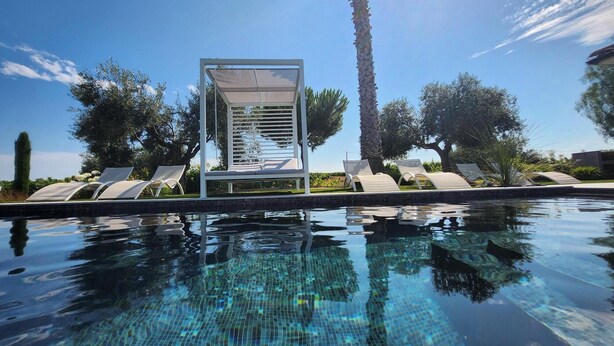 A clear swimming pool with lounge chairs and a palm tree. - Contemporary wine estate villa with infinity pool (Servian)