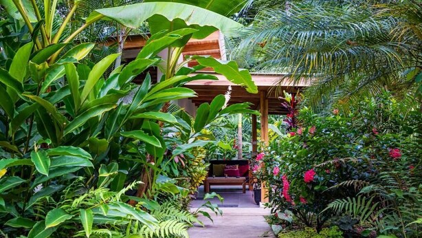 A lush garden pathway leading to a wooden structure with a bench.