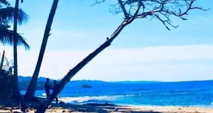La Paz del Caribe