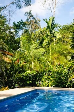 2 outdoor pools, sun loungers