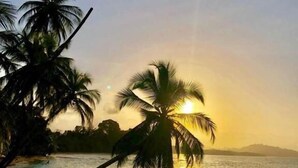 A beach scene with palm trees and a sunset over the water.