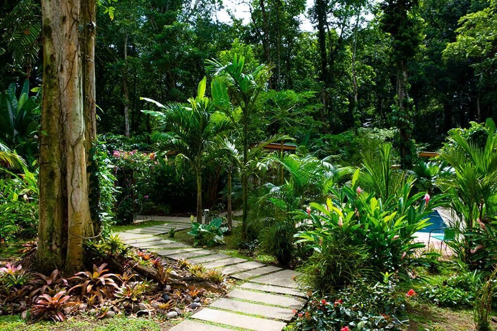 A garden pathway surrounded by lush greenery and tropical plants.
