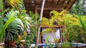 A tropical garden with a wooden pergola, a pool, and lush greenery.