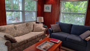 Smart TV, DVD player, books