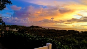A coastal landscape with a path leading to the sea, surrounded by vegetation. - Beachfront Cottages PATIO at Beautiful Sandy Shores on the Gulf of America (INDIAN ROCKS BEACH)