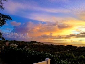 A coastal landscape with a path leading to the sea, surrounded by vegetation.