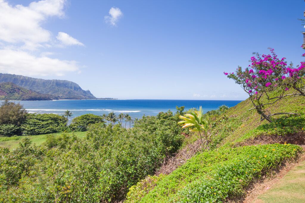 A coastal landscape with lush greenery, a clear blue sky, and a view of the ocean.