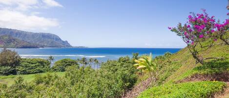 A coastal landscape with lush greenery, a clear blue sky, and a view of the ocean.