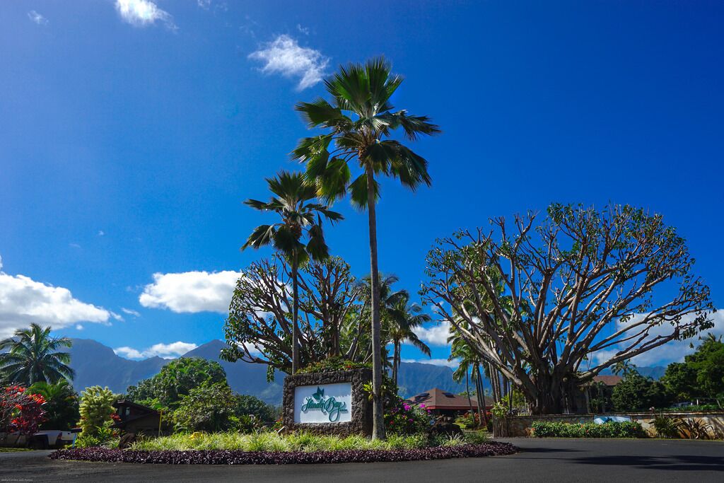 Un complexe hôtelier tropical avec des palmiers, un panneau indicateur et une vue sur les montagnes.