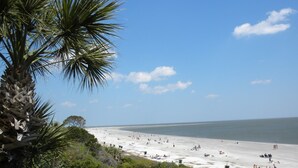 A beach with palm trees and a clear sky. - King & Prince Oceanfront North Villa (St Simons Island)