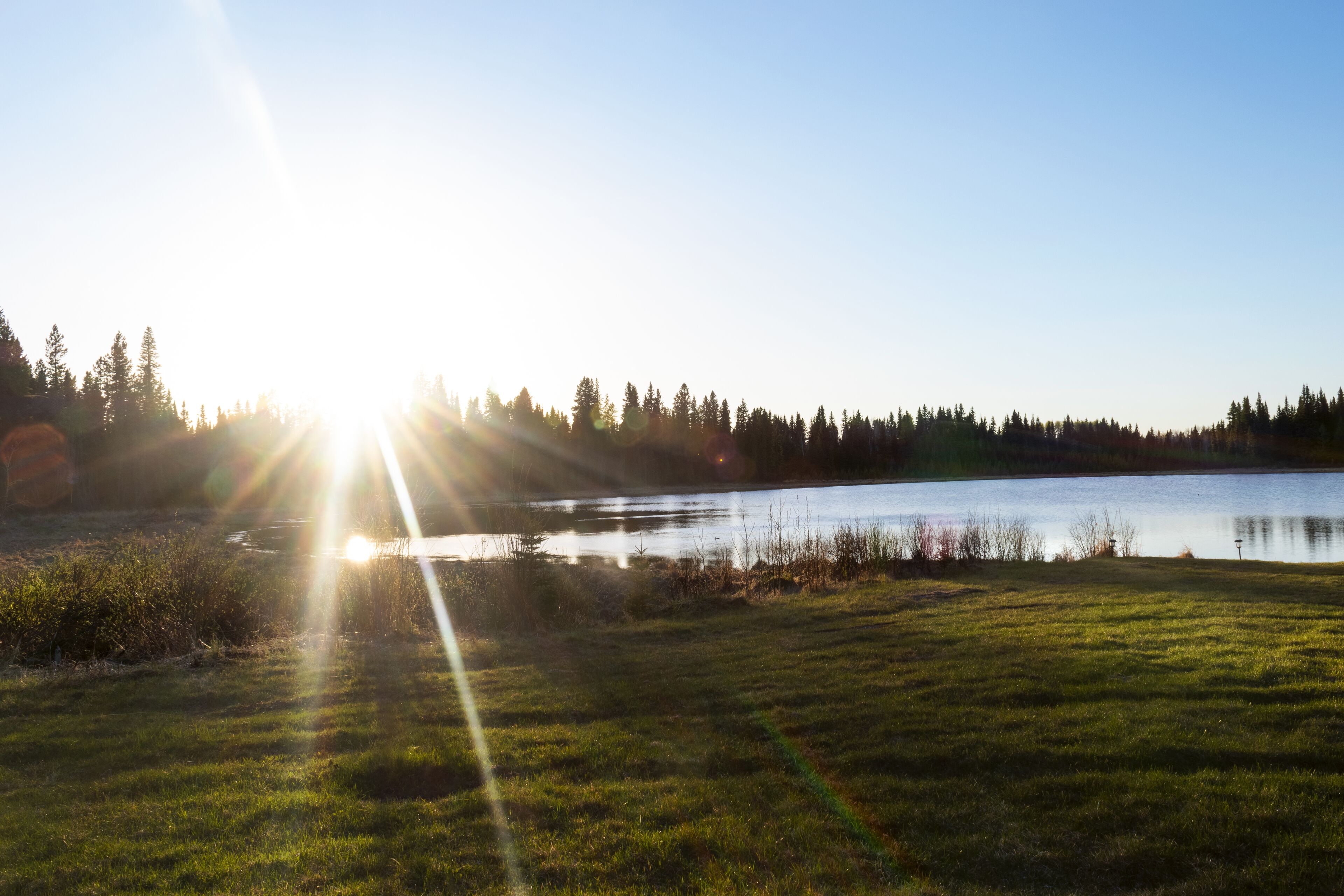 Ein friedlicher See mit Sonnenlichtreflexionen auf der Wasseroberfläche, umgeben von einer grünen Wiese und einem Wald im Hintergrund.