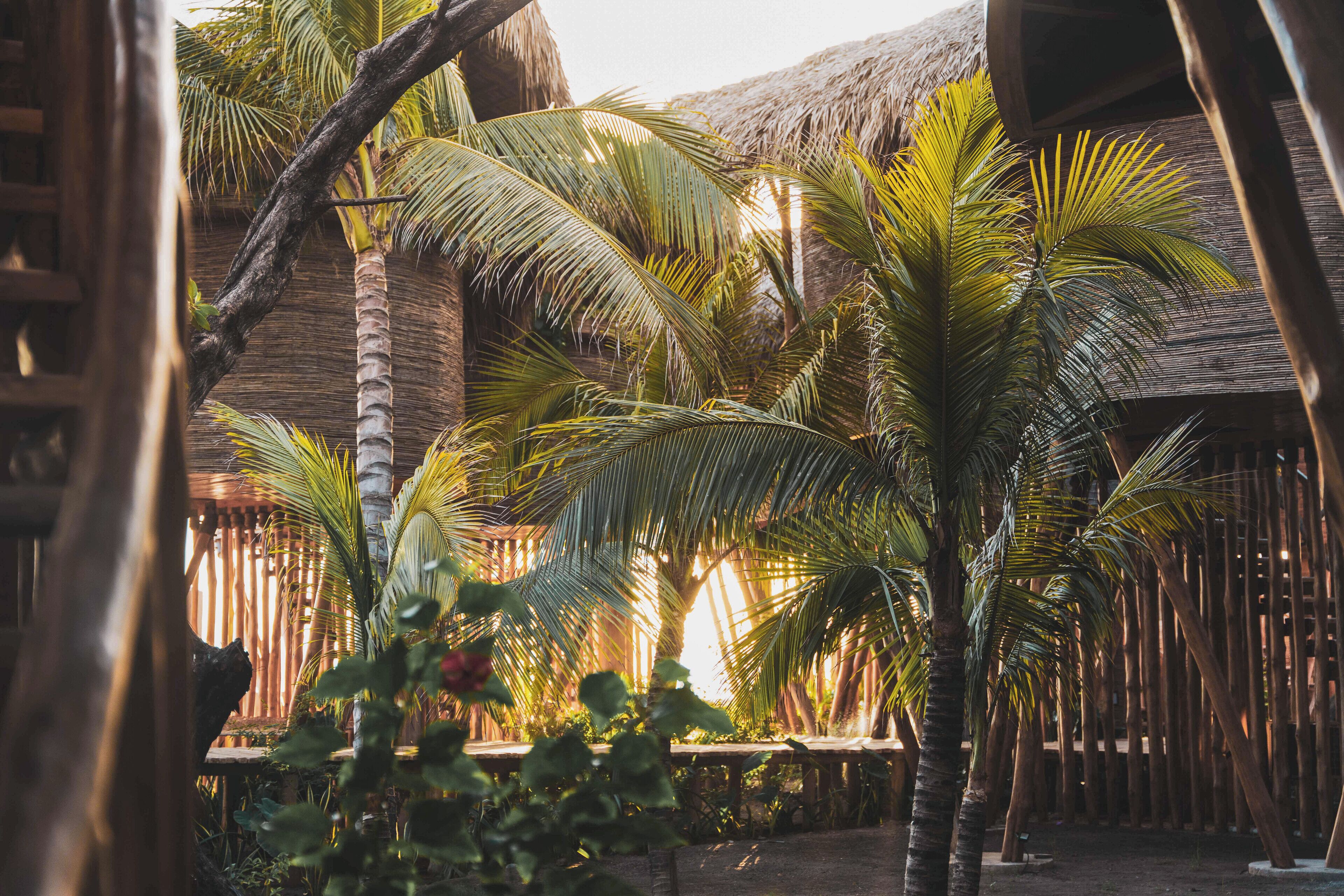 A tropical setting with palm trees and thatched-roof structures.
