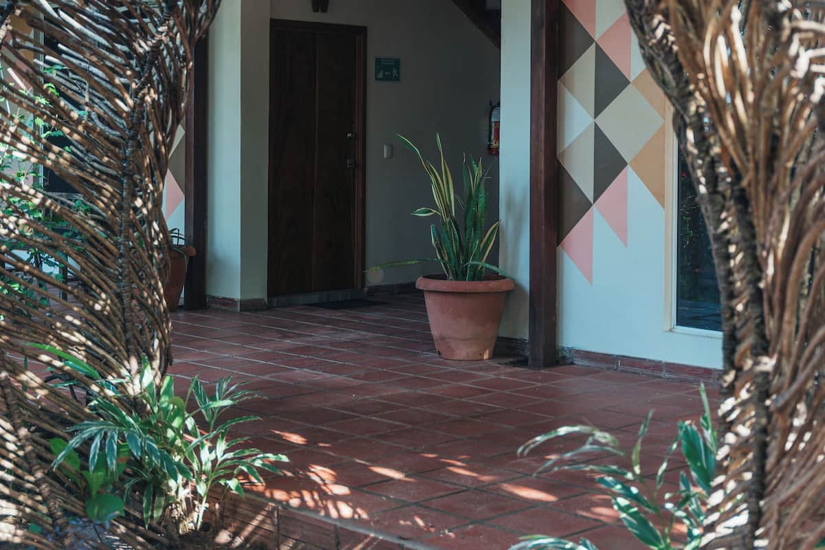 An entrance with a woven archway, a potted plant, and a geometric wall pattern.