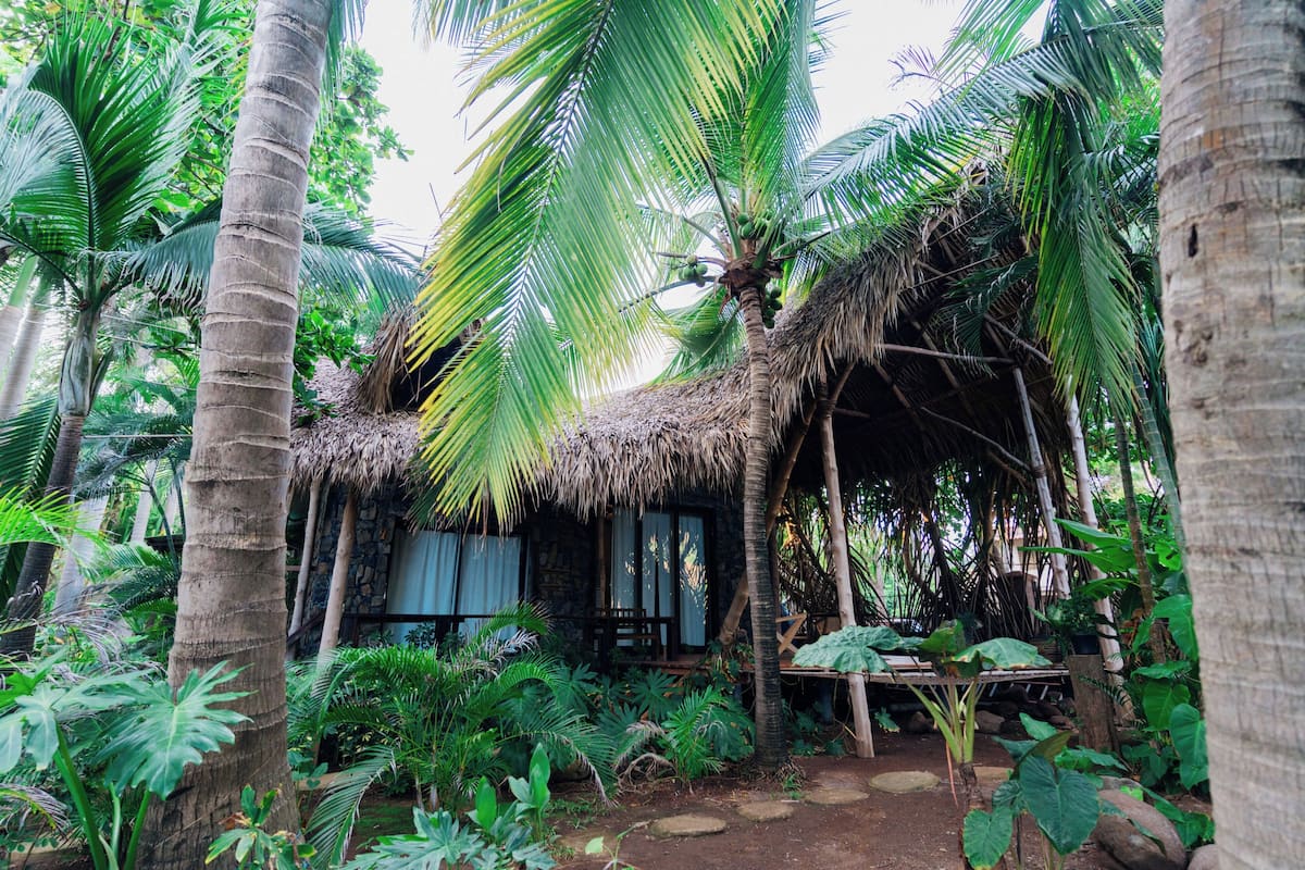 A rustic hut with a thatched roof surrounded by lush tropical vegetation.
