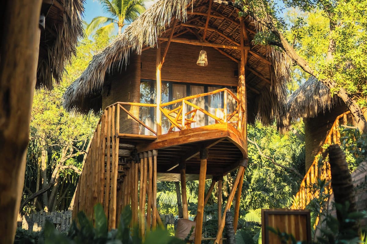 A wooden treehouse with a thatched roof, surrounded by lush greenery and palm trees.