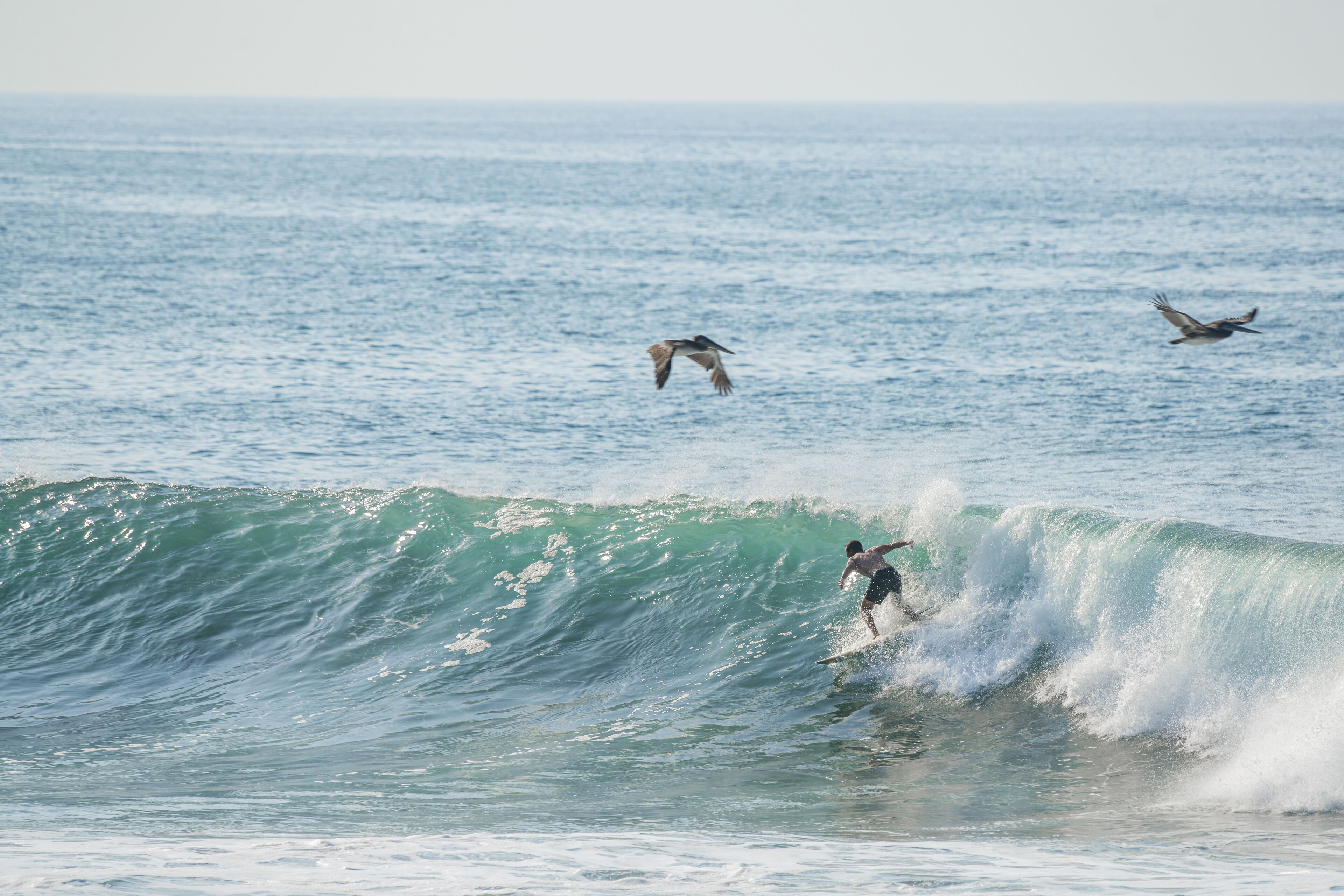 surfing/boogie boarding