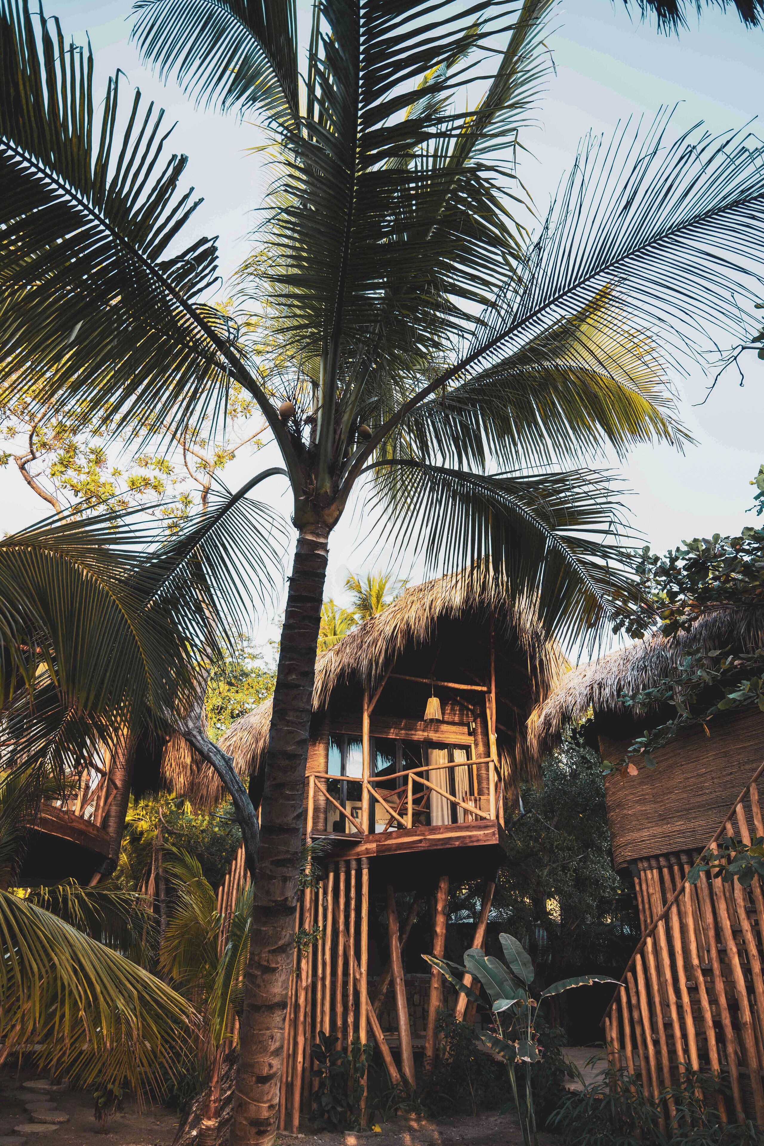 Ocean View Treehouse | Premium bedding, minibar, in-room safe, bed sheets