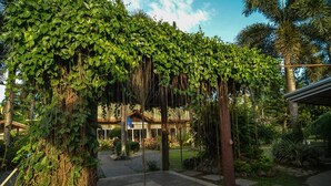 A covered outdoor area with a wooden pergola, surrounded by lush greenery and palm trees. - Zacona Eco-Resort and Biblical Garden (San Pablo)