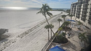 En la playa y camastros