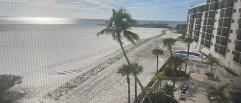 On the beach, sun-loungers