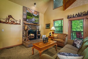 Télévision, cheminée, lecteur de DVD