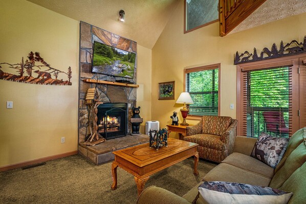 TV, fireplace, DVD player