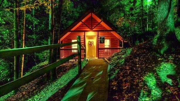 Une cabane en bois avec un toit rouge, entourée d’une forêt.