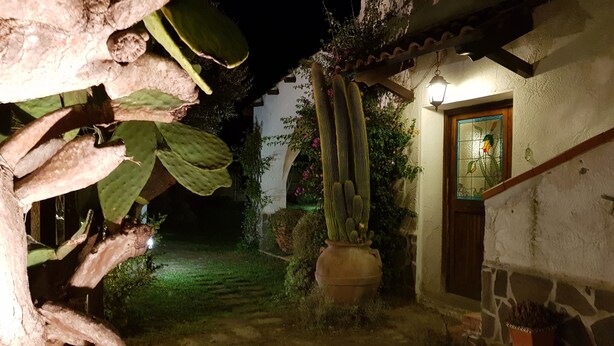 A courtyard with a cactus, a large pot, and a building with a door and window. - Villa with garden (Castel Volturno)