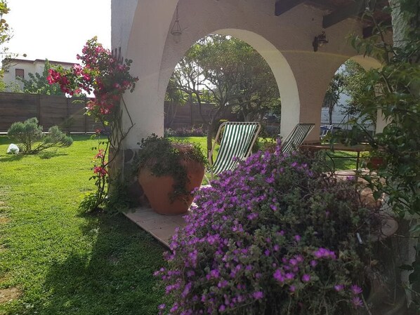 Terraza o patio