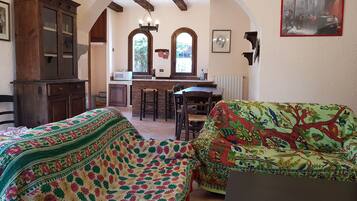 TV a schermo piatto, caminetto, libri