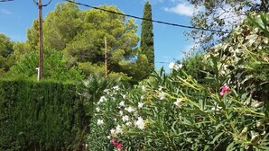 Ein Steinweg führt zu einem Garten mit ordentlich geschnittenen Hecken und blühenden Pflanzen.