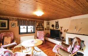 Fernseher, Kamin
