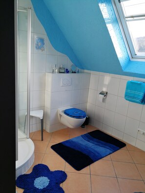 Ducha, secador de pelo, toallas, jabón