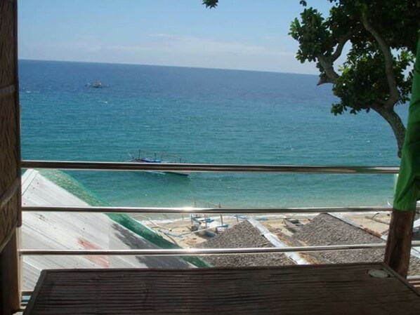 Vista desde la propiedad