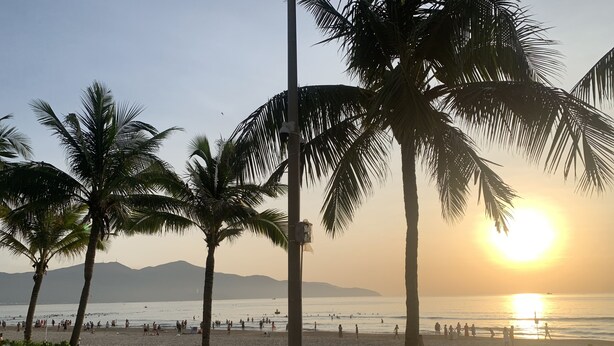 Une scène de plage avec des palmiers et un coucher de soleil.