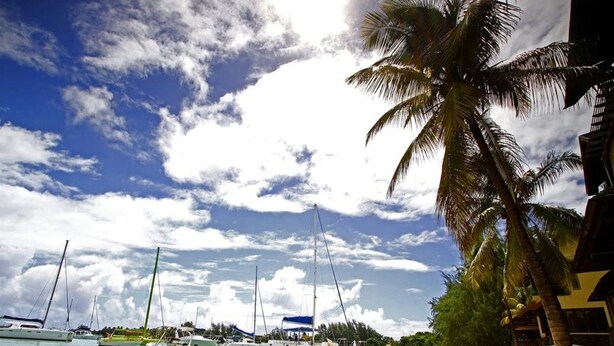 A beach with boats, palm trees, and a clear sky. - Residence Theresa  Mon Choisy Mauritius (Mont Choisy)
