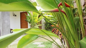 Un sentier bordé de plantes verdoyantes menant à une porte en bois.