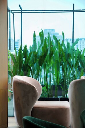 Terraza en la azotea